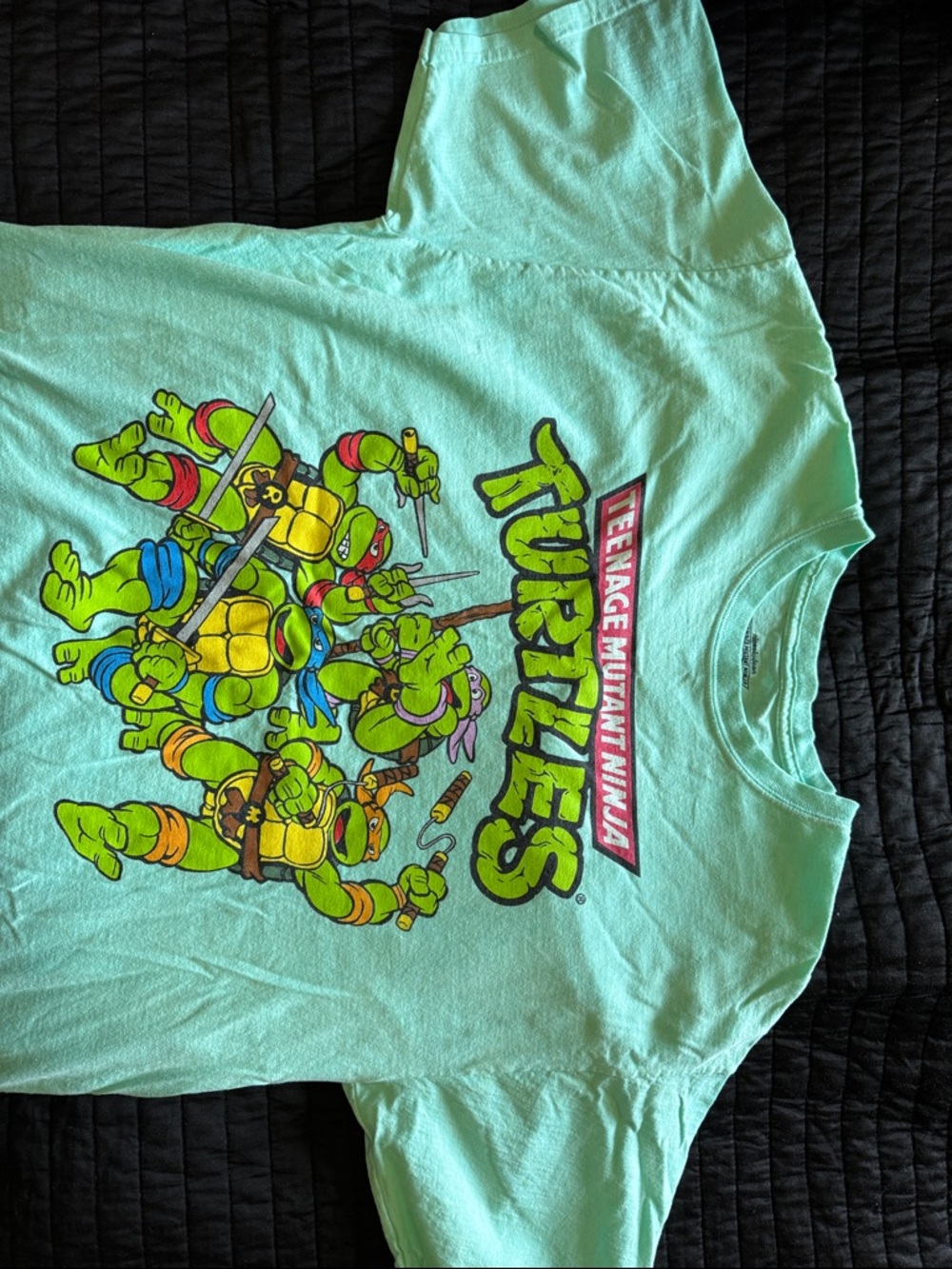 Target Teenage Mutant Ninja Turtles Graphic Tee Mint Green